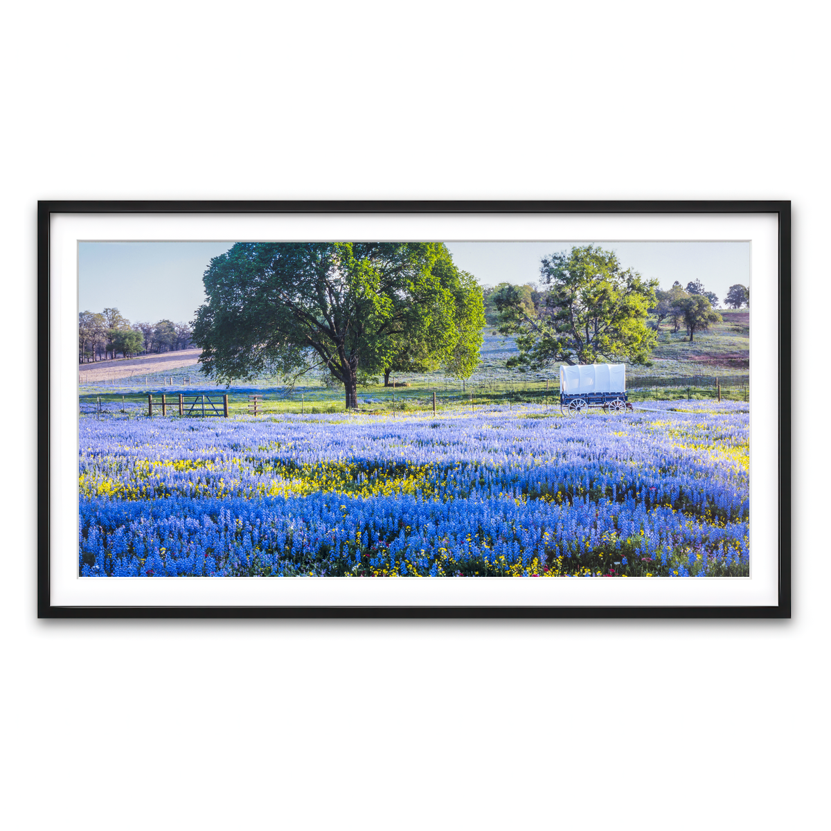 Framed Print 2x1 Black