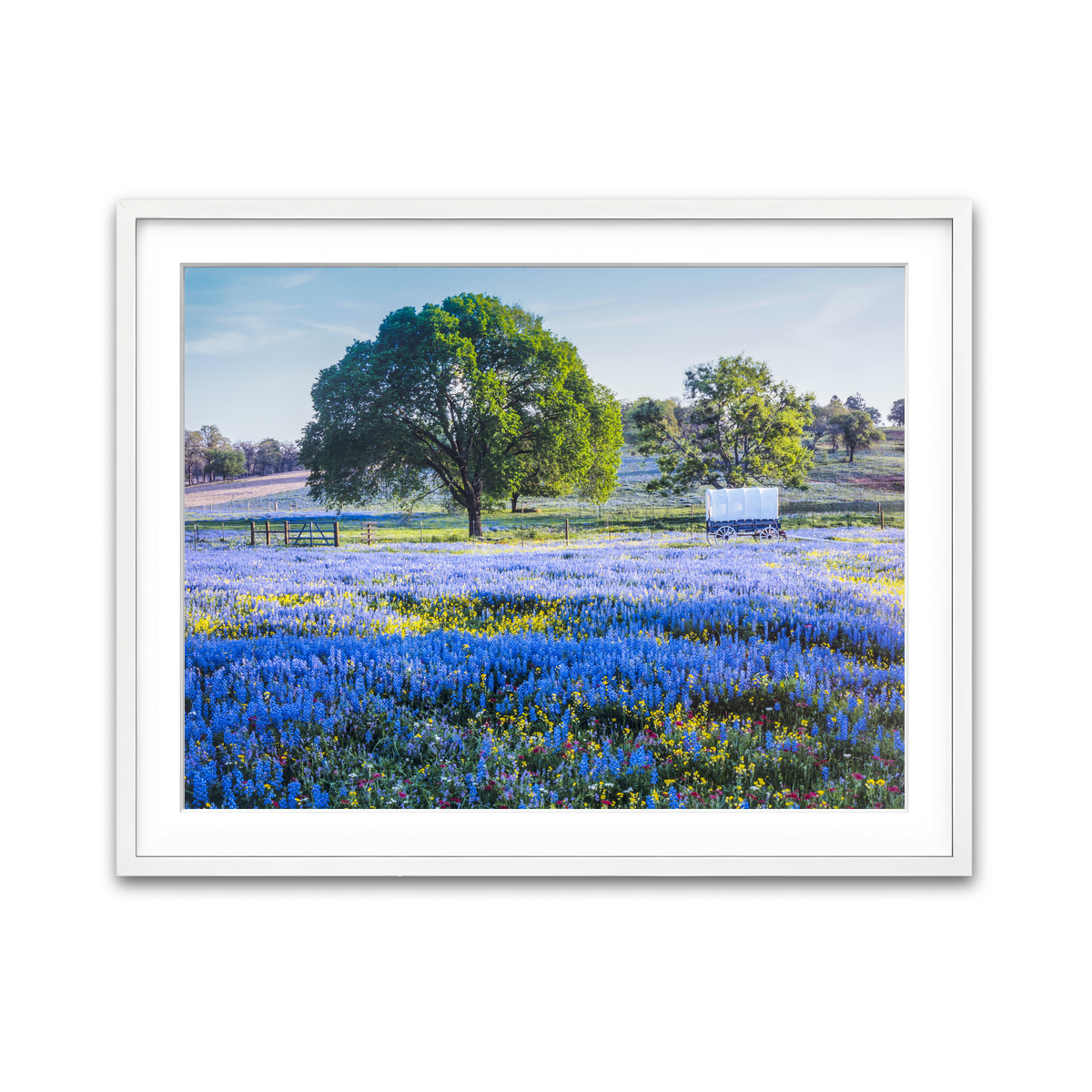 Framed Print 4x3 White