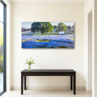 AUTO-MOCKUP ROOM | Texas Hill country in spring