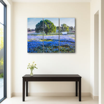 AUTO-MOCKUP ROOM | Texas Hill country in spring