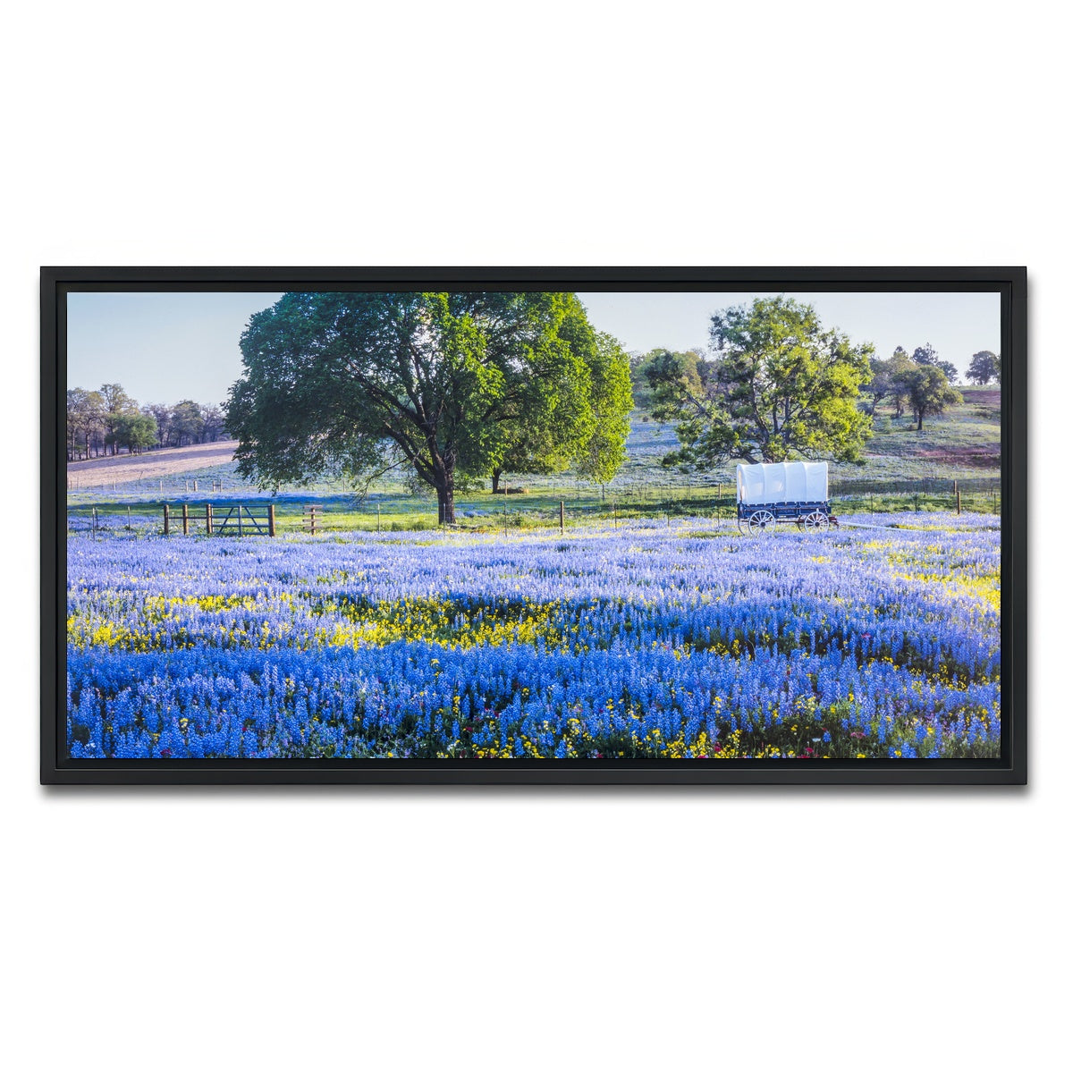 AUTO-MOCKUP WHITE | Texas Hill country in spring | 1 Piece | Black Framed Canvas | group=2x1