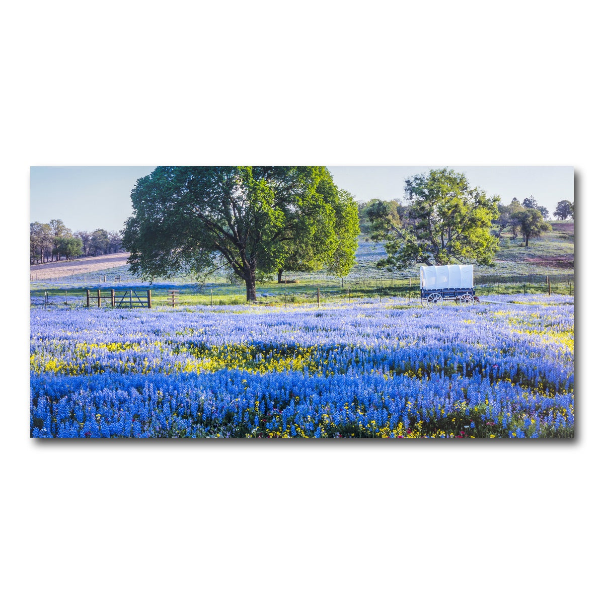 AUTO-MOCKUP WHITE | Texas Hill country in spring | 1 Piece | Gallery Wrap Canvas | group=2x1