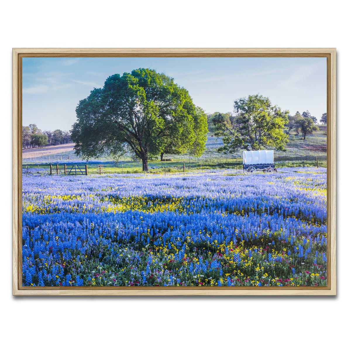 AUTO-MOCKUP WHITE | Texas Hill country in spring | 1 Piece | Natural Framed Canvas | group=4x3