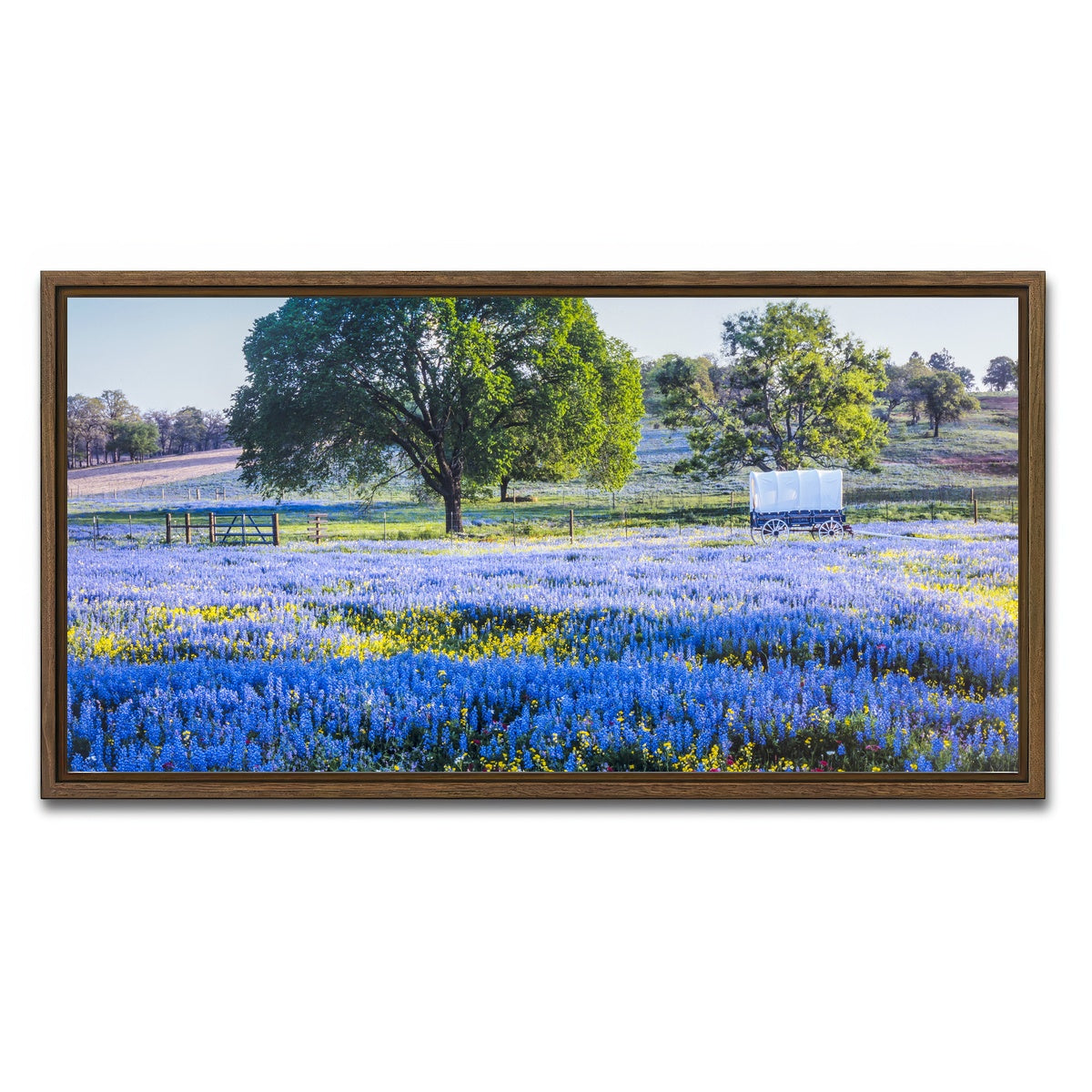 AUTO-MOCKUP WHITE | Texas Hill country in spring | 1 Piece | Walnut Framed Canvas | group=2x1