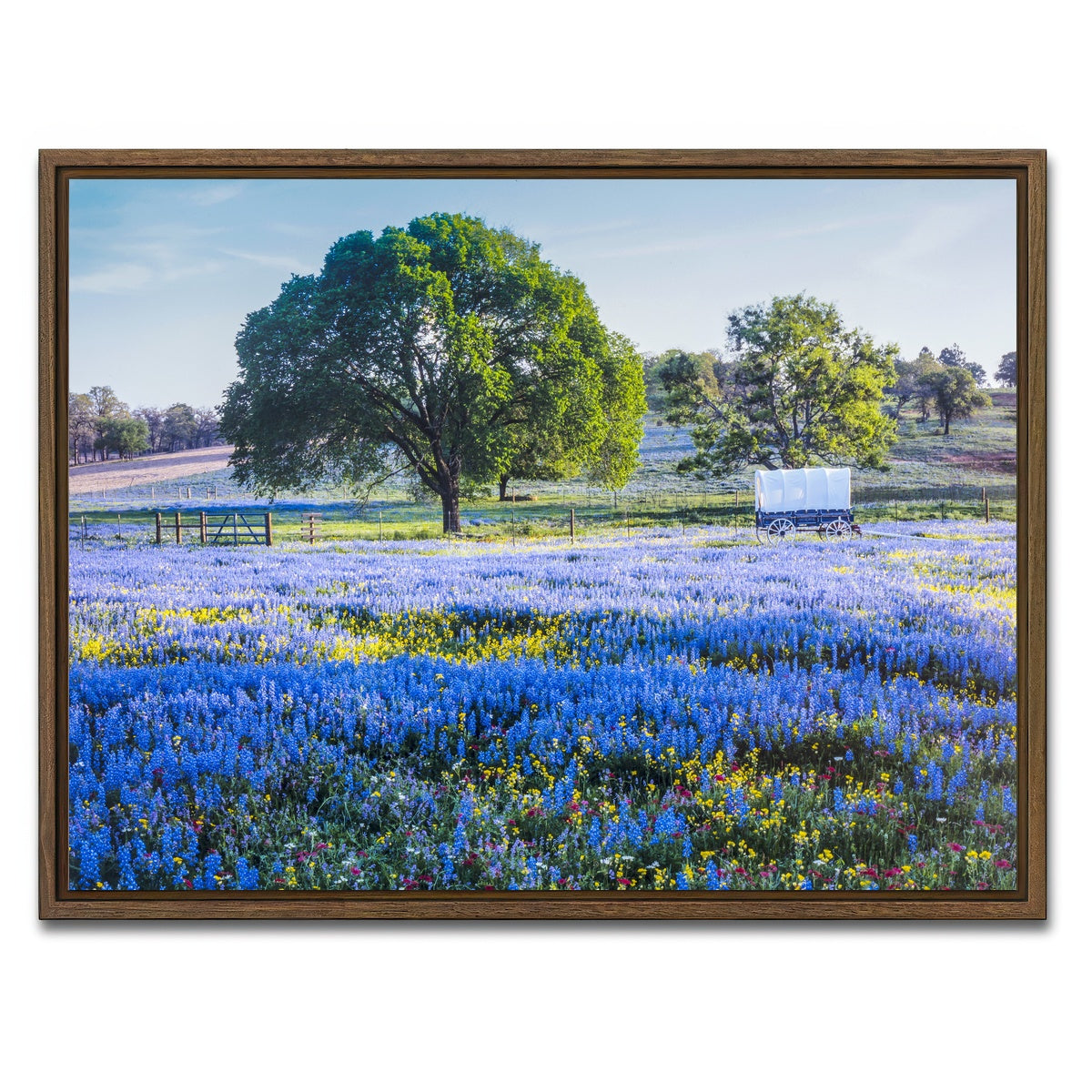 AUTO-MOCKUP WHITE | Texas Hill country in spring | 1 Piece | Walnut Framed Canvas | group=4x3