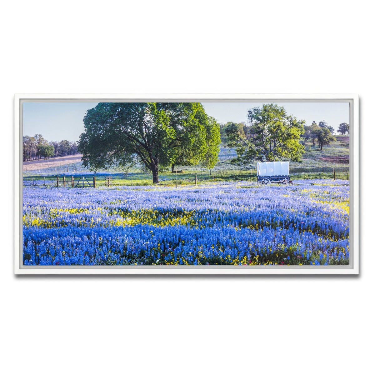 AUTO-MOCKUP WHITE | Texas Hill country in spring | 1 Piece | White Framed Canvas | group=2x1