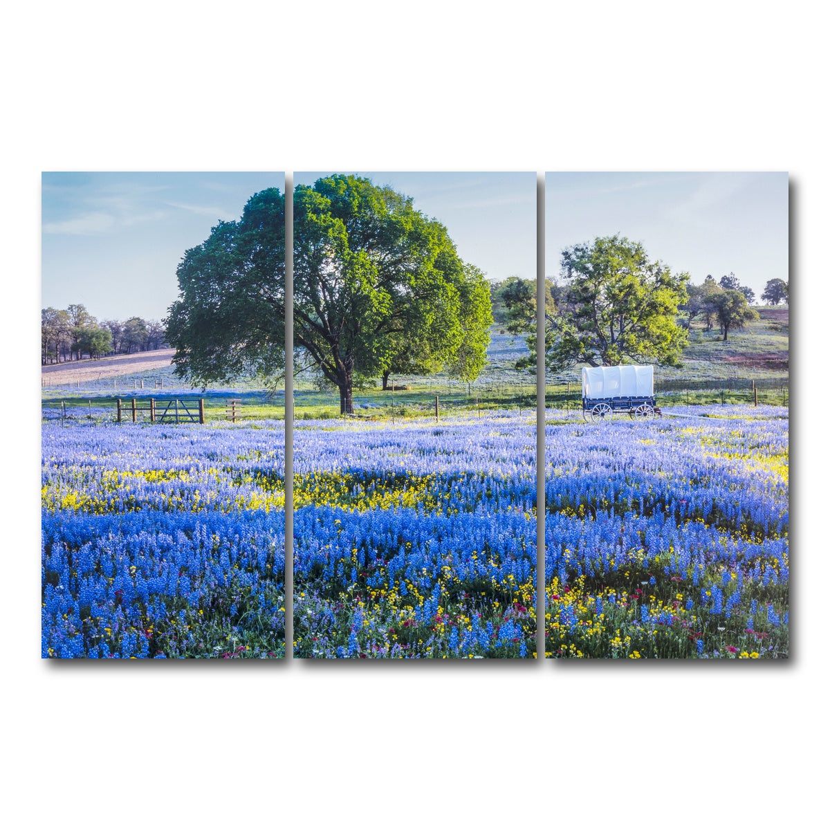 AUTO-MOCKUP WHITE | Texas Hill country in spring | 3 Piece | Gallery Wrap Canvas | group=12x24