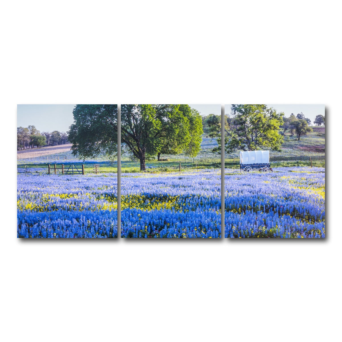 AUTO-MOCKUP WHITE | Texas Hill country in spring | 3 Piece | Gallery Wrap Canvas | group=18x24
