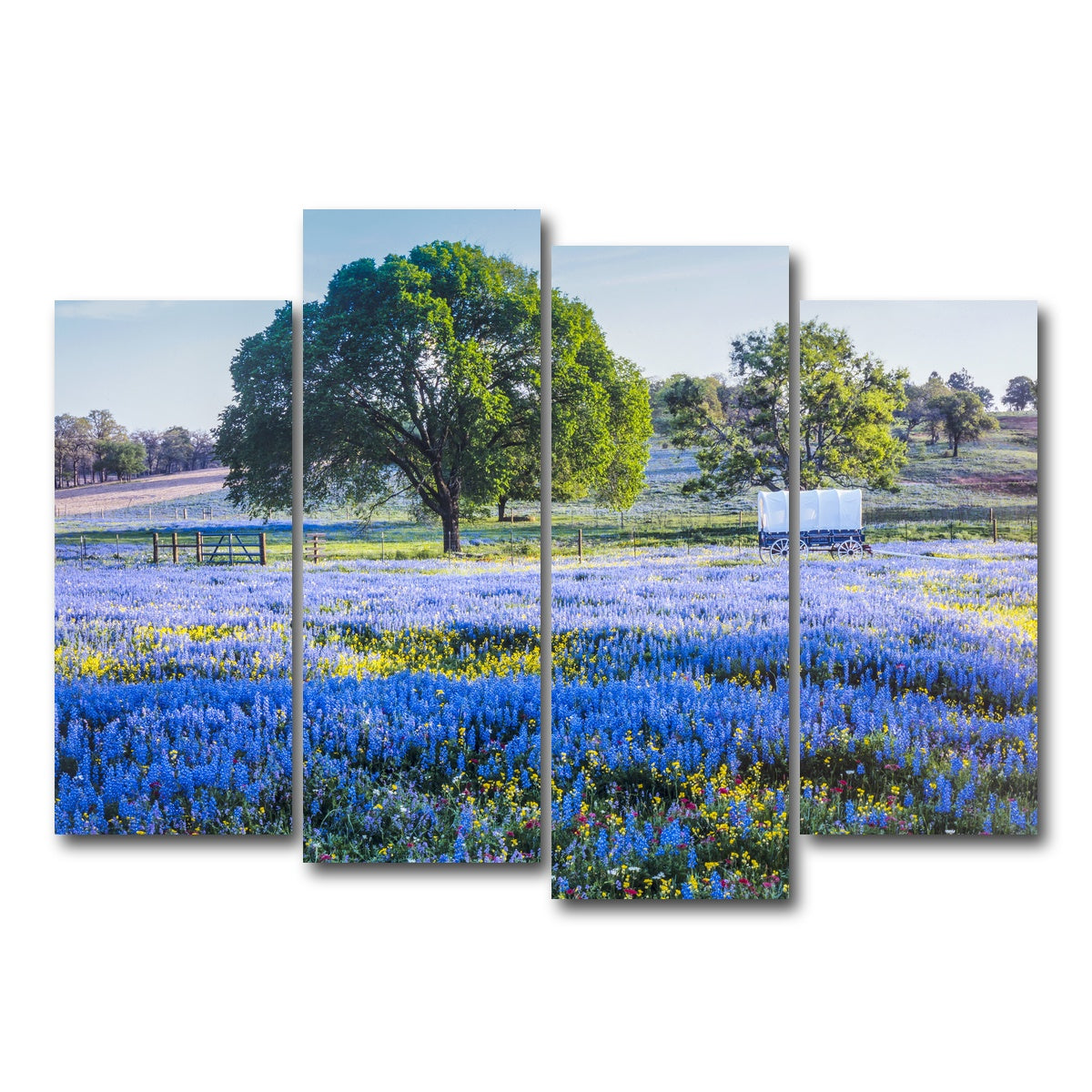 AUTO-MOCKUP WHITE | Texas Hill country in spring | 4 Piece | Gallery Wrap Canvas | group=4_normal