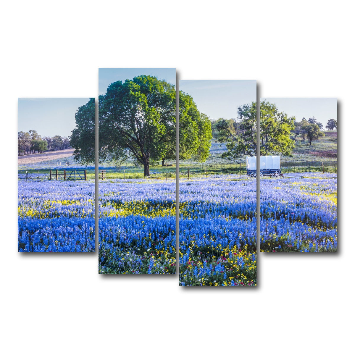 AUTO-MOCKUP WHITE | Texas Hill country in spring | 4 Piece | Gallery Wrap Canvas | group=4_short