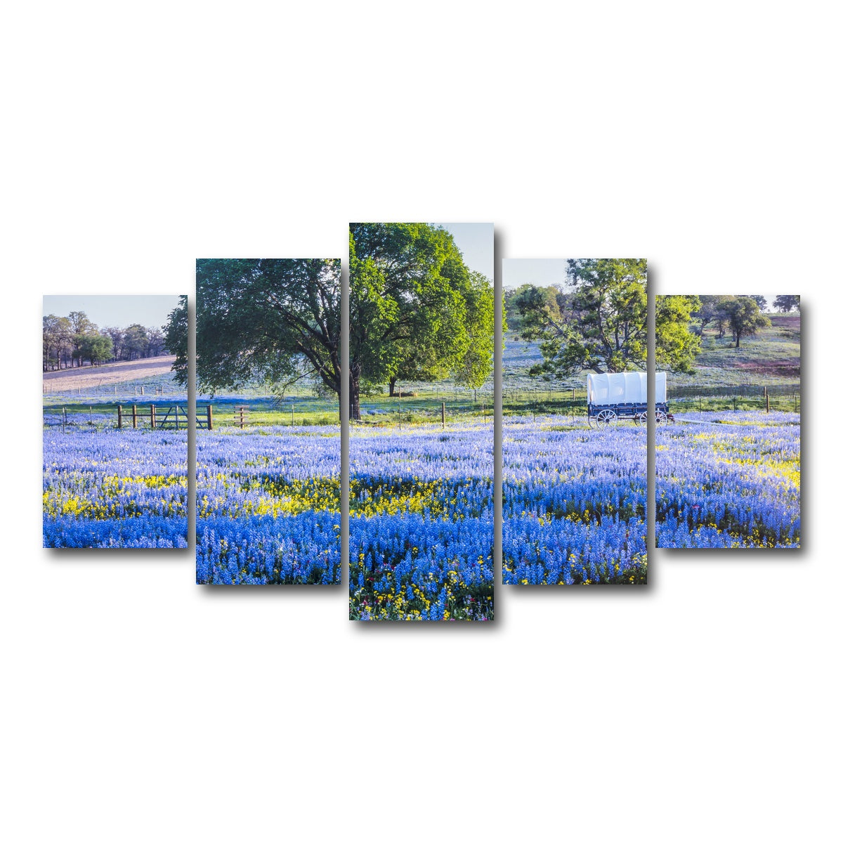 AUTO-MOCKUP WHITE | Texas Hill country in spring | 5 Piece | Gallery Wrap Canvas | group=5_normal