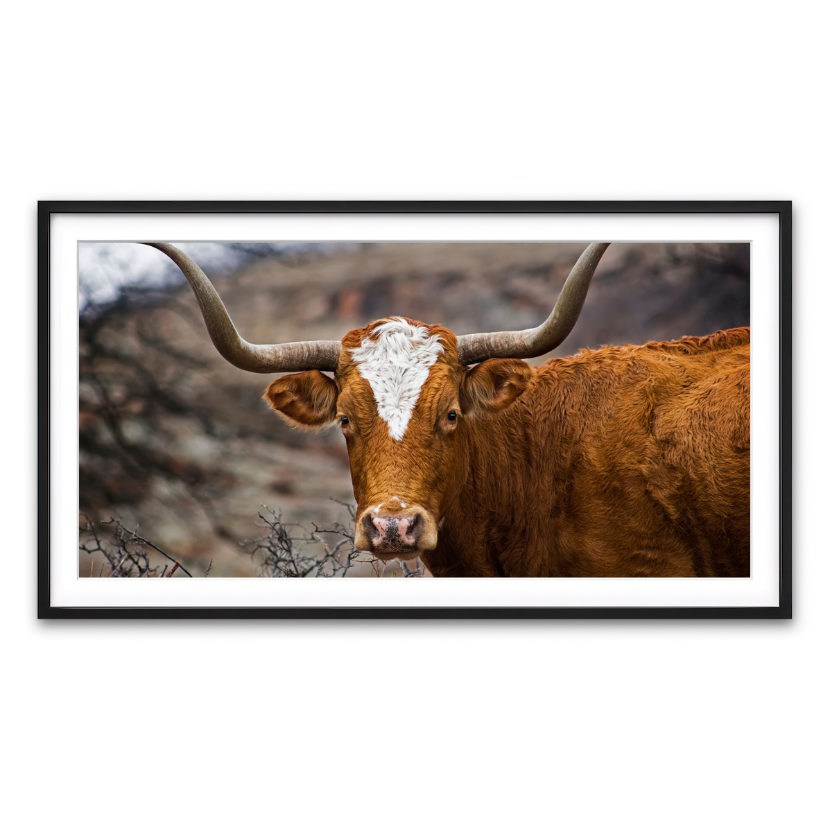 Framed Print 2x1 Black