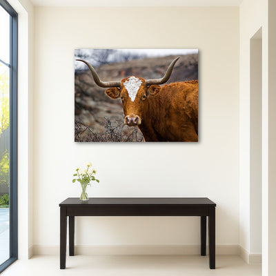 AUTO-MOCKUP ROOM | Texas Longhorn