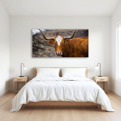 AUTO-MOCKUP ROOM | Texas Longhorn