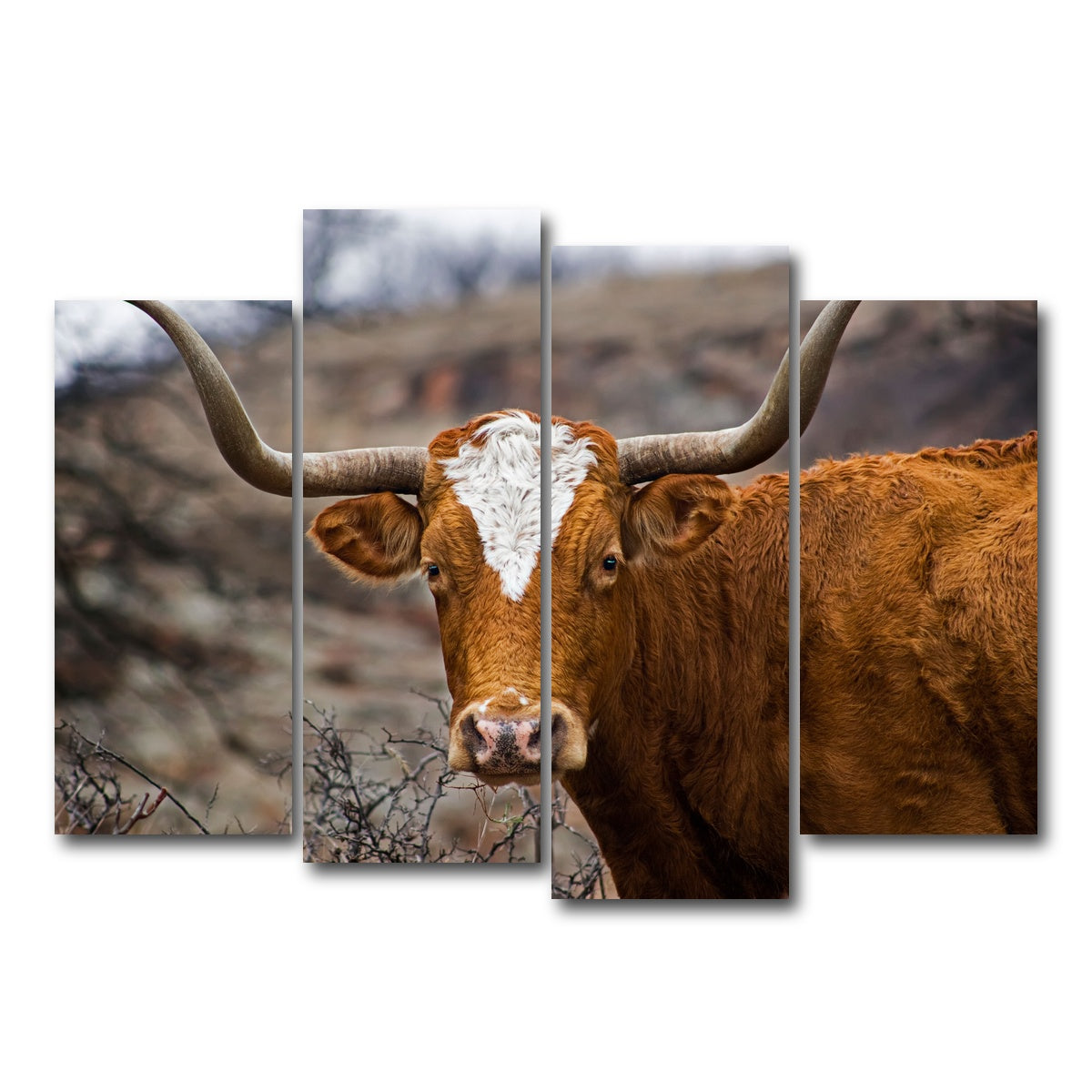AUTO-MOCKUP WHITE | Texas Longhorn | 4 Piece | Gallery Wrap Canvas | group=4_normal
