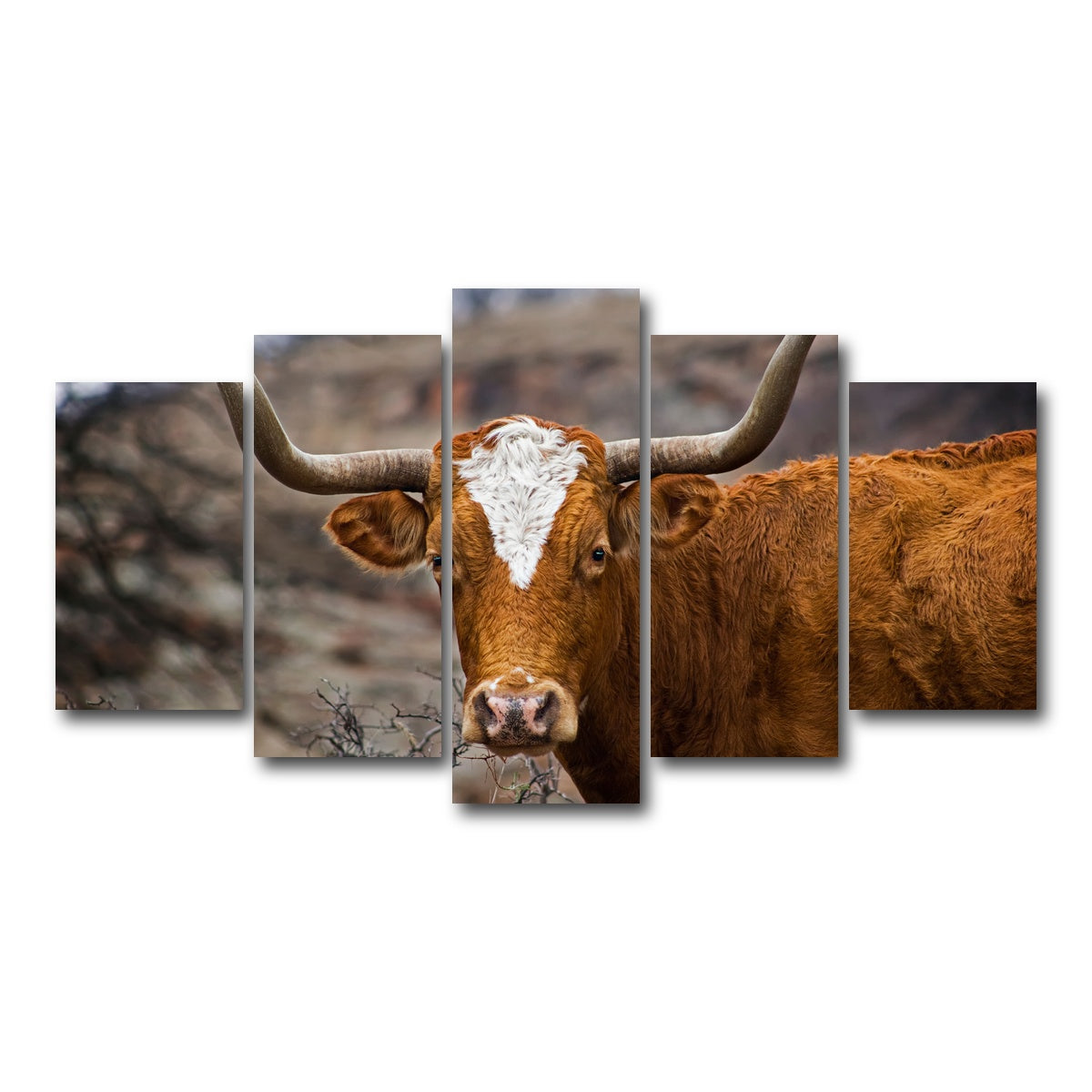 AUTO-MOCKUP WHITE | Texas Longhorn | 5 Piece | Gallery Wrap Canvas | group=5_normal
