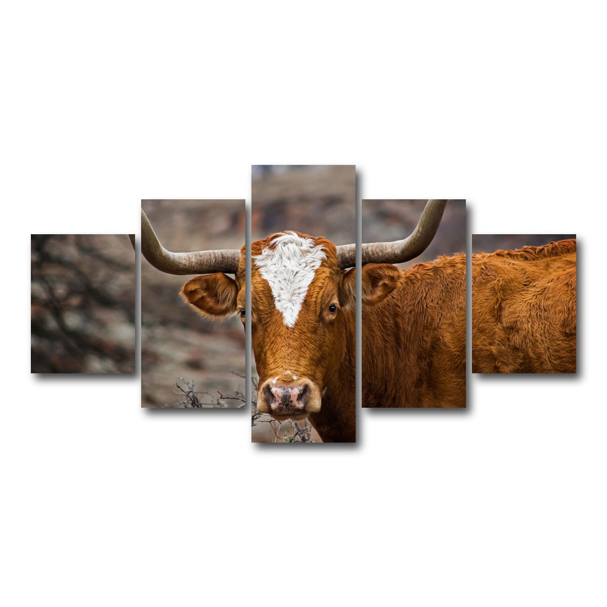 AUTO-MOCKUP WHITE | Texas Longhorn | 5 Piece | Gallery Wrap Canvas | group=5_short