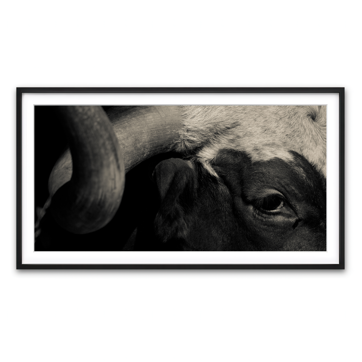 Framed Print 2x1 Black