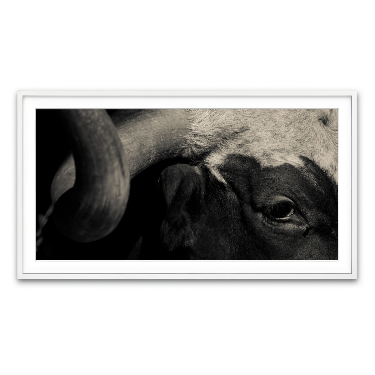 Framed Print 2x1 White