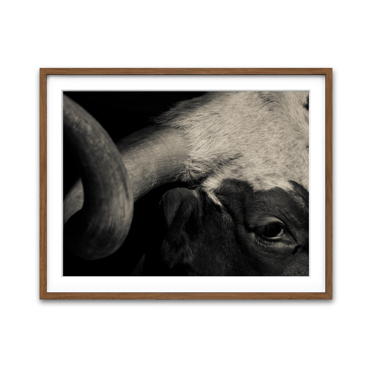 Framed Print 4x3 Walnut