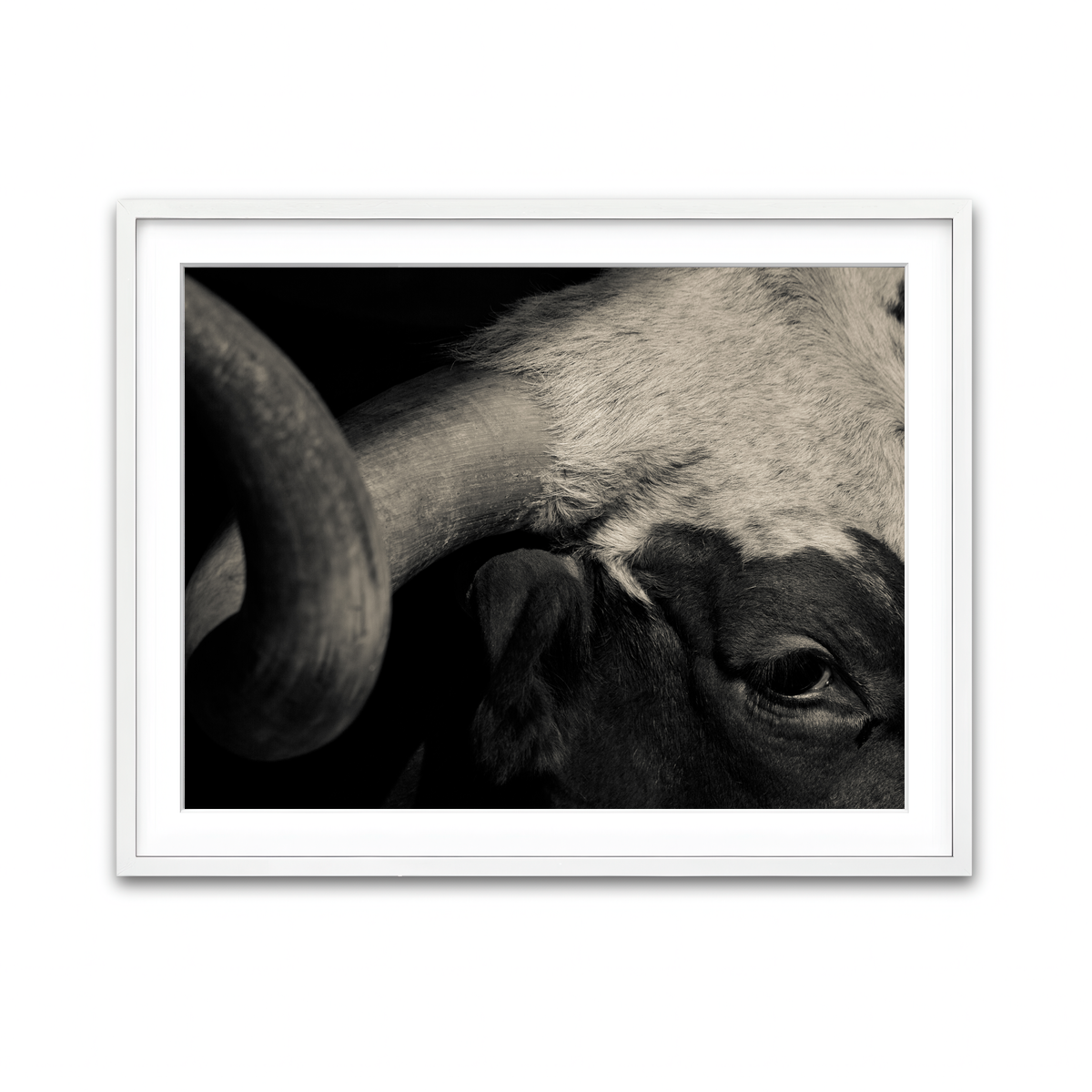 Framed Print 4x3 White