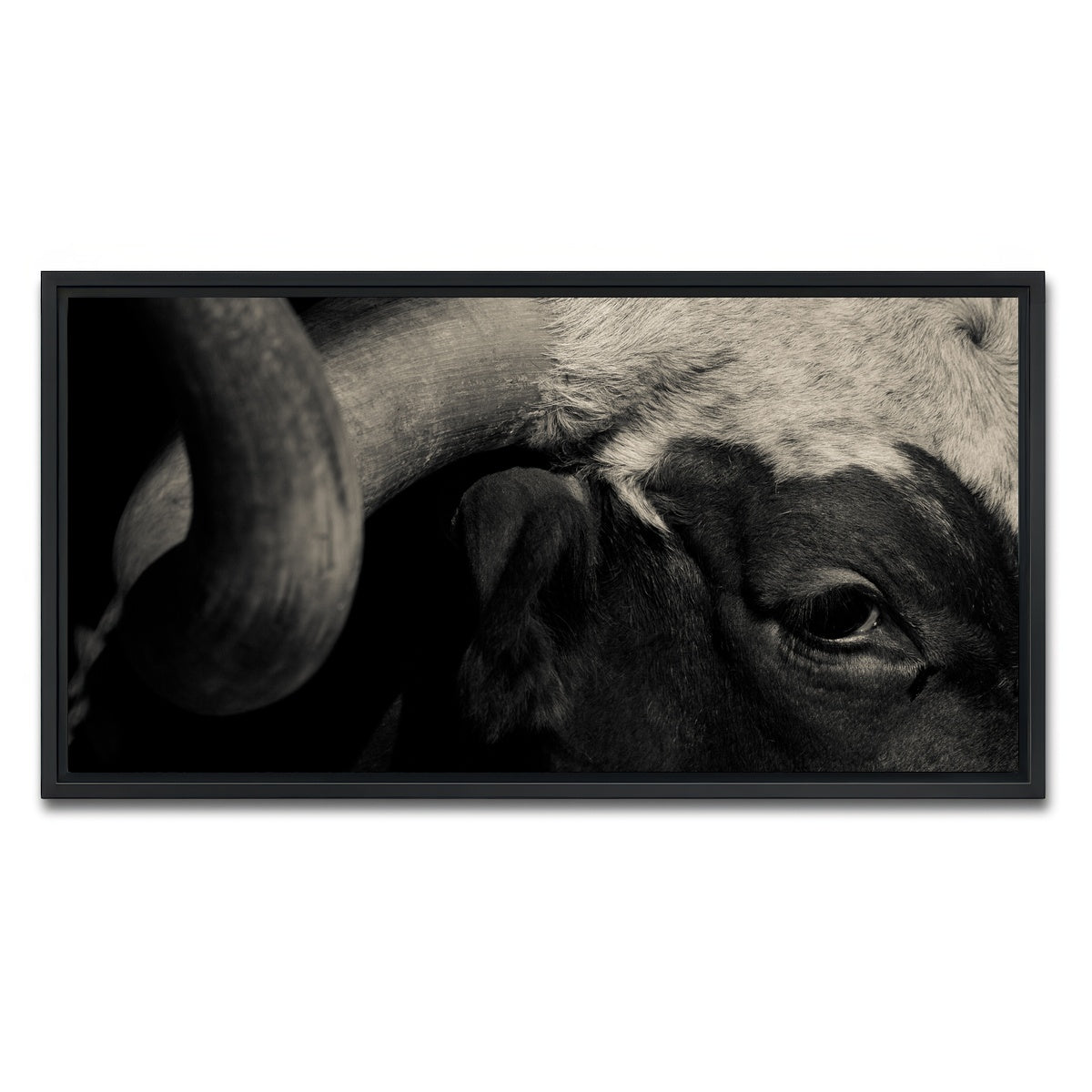 AUTO-MOCKUP WHITE | Texas Longhorn cow | 1 Piece | Black Framed Canvas | group=2x1