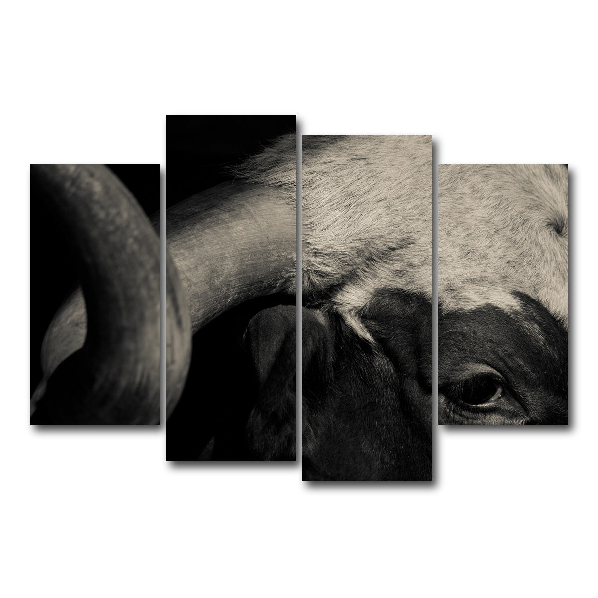 AUTO-MOCKUP WHITE | Texas Longhorn cow | 4 Piece | Gallery Wrap Canvas | group=4_short