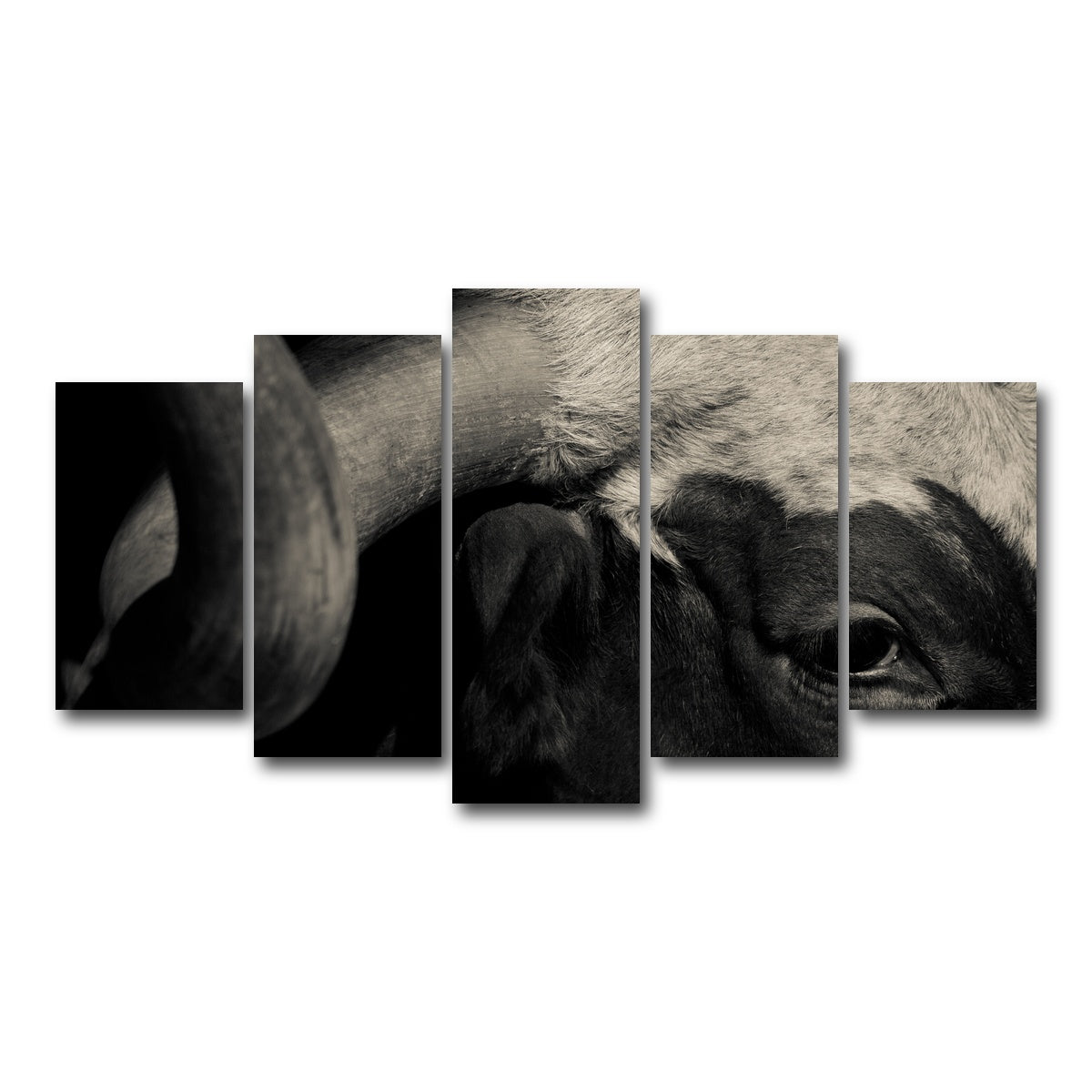 AUTO-MOCKUP WHITE | Texas Longhorn cow | 5 Piece | Gallery Wrap Canvas | group=5_normal