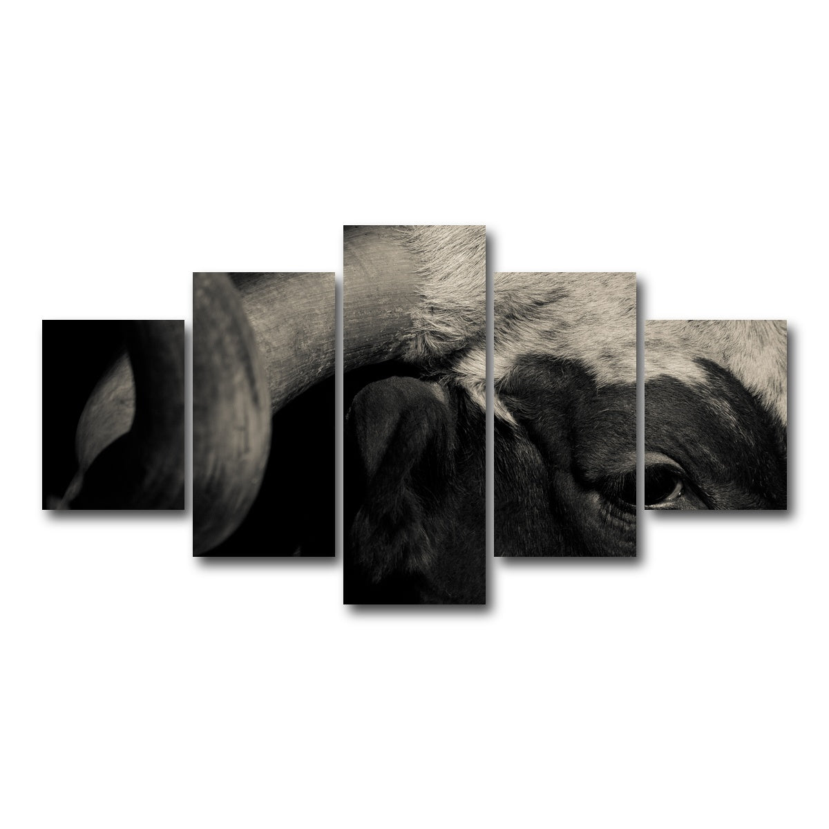 AUTO-MOCKUP WHITE | Texas Longhorn cow | 5 Piece | Gallery Wrap Canvas | group=5_short