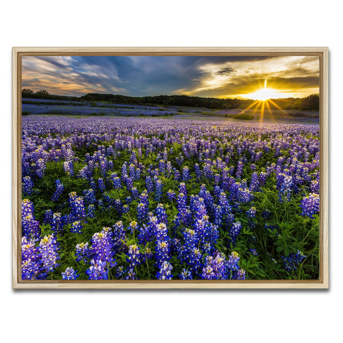 AUTO-MOCKUP WHITE | Texas bluebonnet field Muleshoe Bend | 1 Piece | Natural Framed Canvas | group=4x3