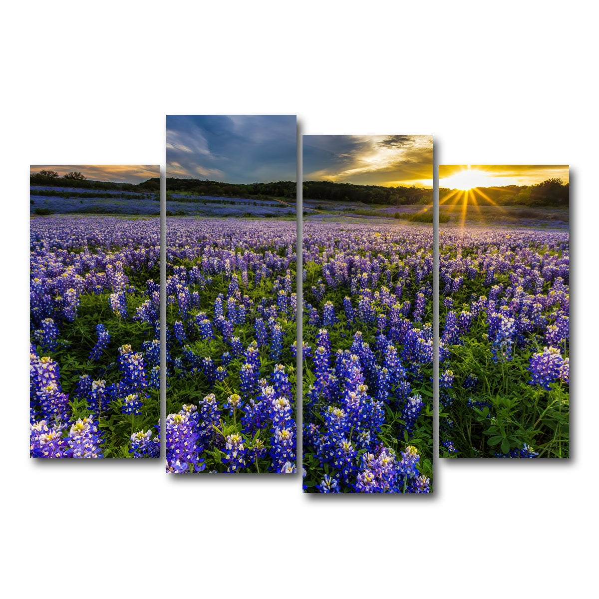 AUTO-MOCKUP WHITE | Texas bluebonnet field Muleshoe Bend | 4 Piece | Gallery Wrap Canvas | group=4_normal