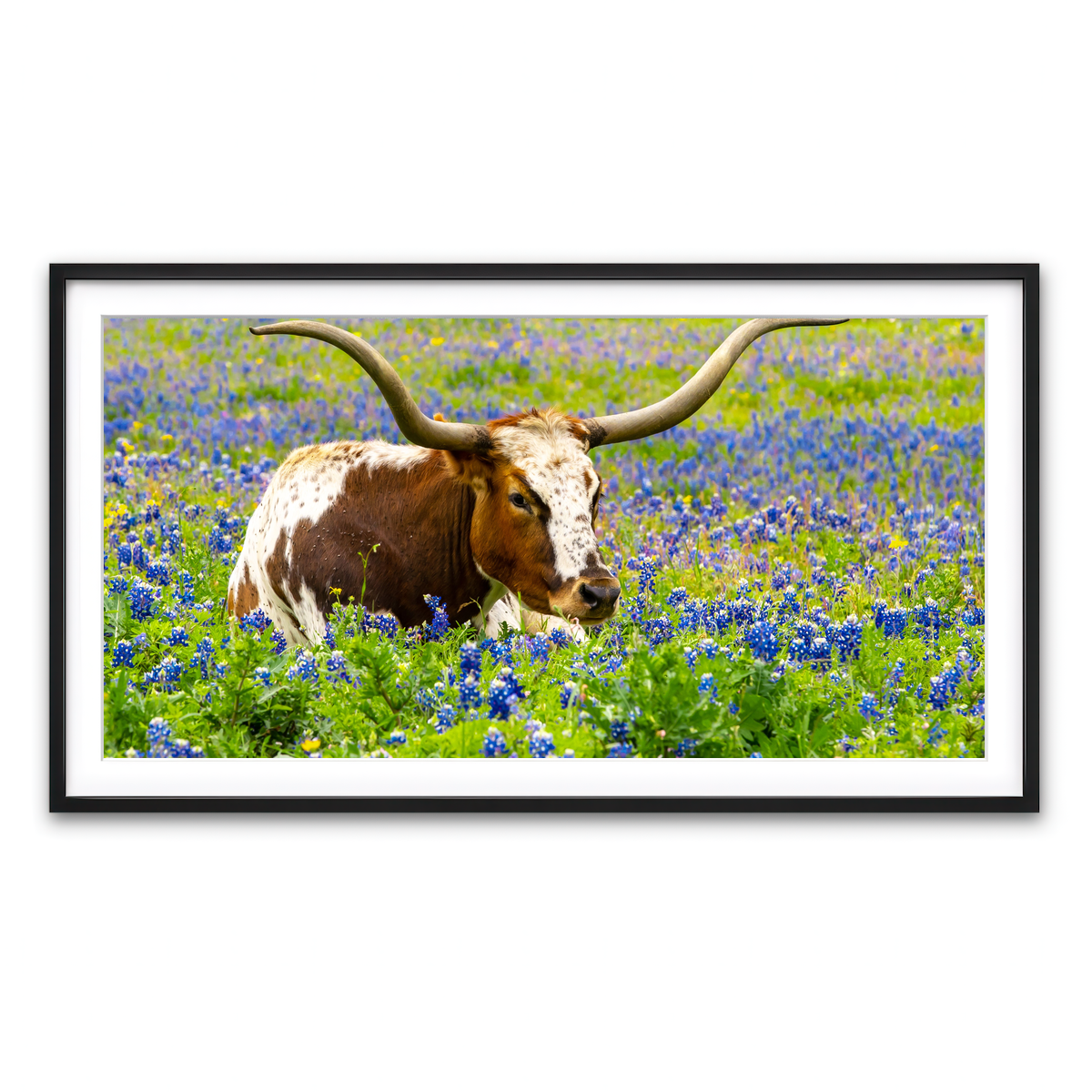 Framed Print 2x1 Black