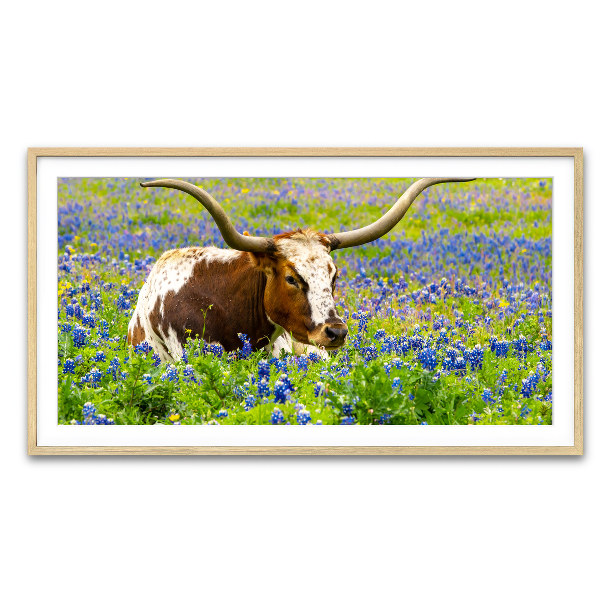 Framed Print 2x1 Natural