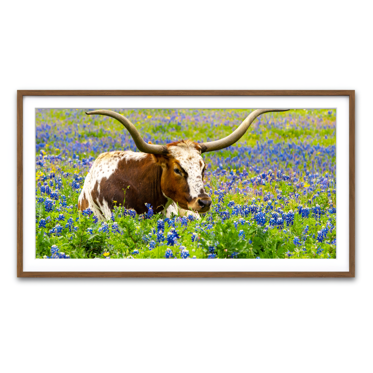 Framed Print 2x1 Walnut