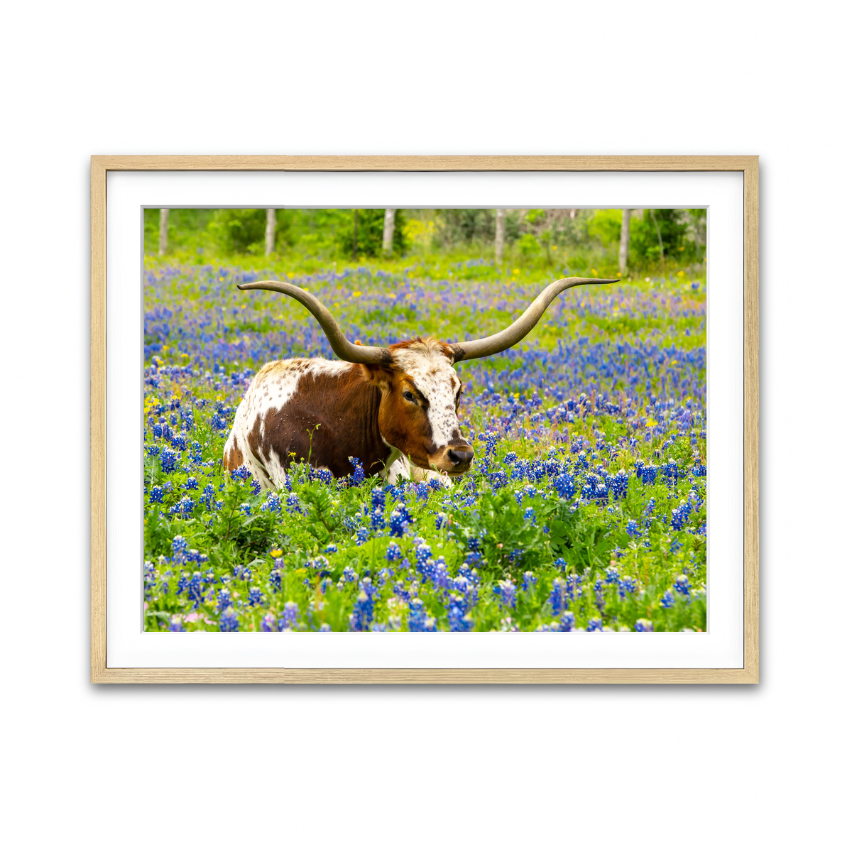 Framed Print 4x3 Natural