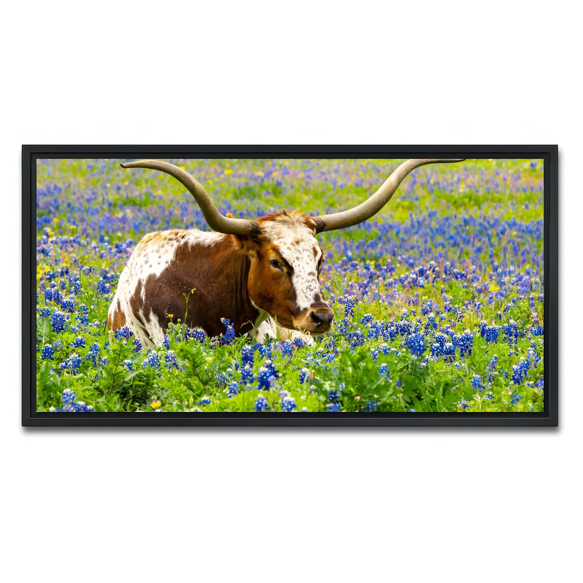 AUTO-MOCKUP WHITE | Texas longhorn bull | 1 Piece | Black Framed Canvas | group=2x1