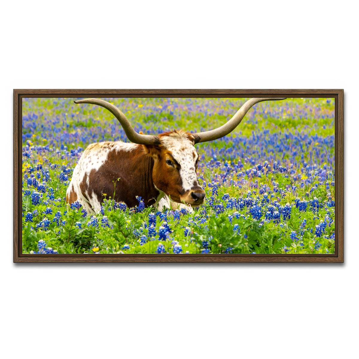 AUTO-MOCKUP WHITE | Texas longhorn bull | 1 Piece | Walnut Framed Canvas | group=2x1