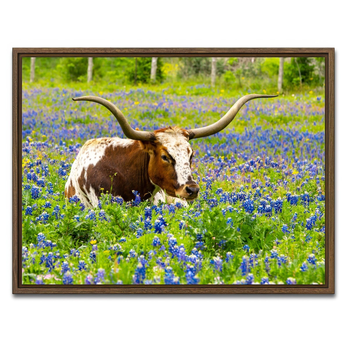AUTO-MOCKUP WHITE | Texas longhorn bull | 1 Piece | Walnut Framed Canvas | group=4x3