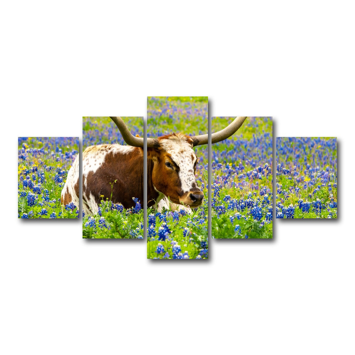 AUTO-MOCKUP WHITE | Texas longhorn bull | 5 Piece | Gallery Wrap Canvas | group=5_short