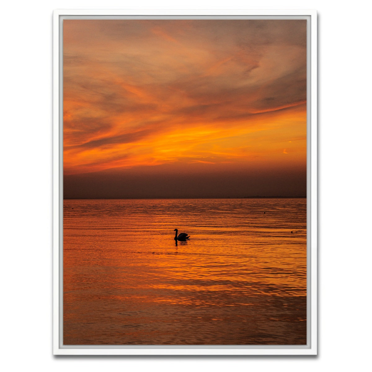 AUTO-MOCKUP WHITE | The Black Swan | 1 Piece | White Framed Canvas | group=3x4