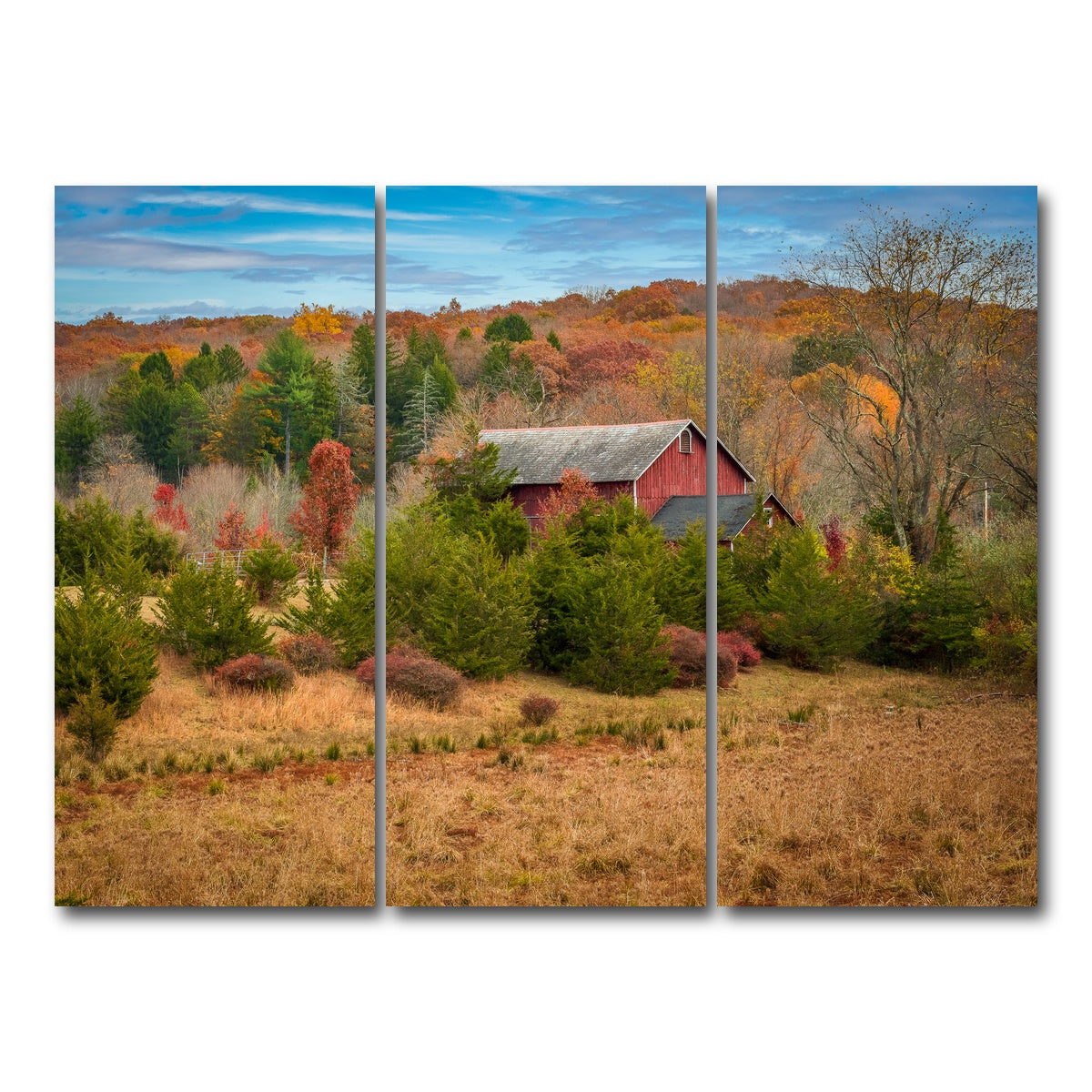 AUTO-MOCKUP WHITE | The Colors of Home | 3 Piece | Gallery Wrap Canvas | group=8x18