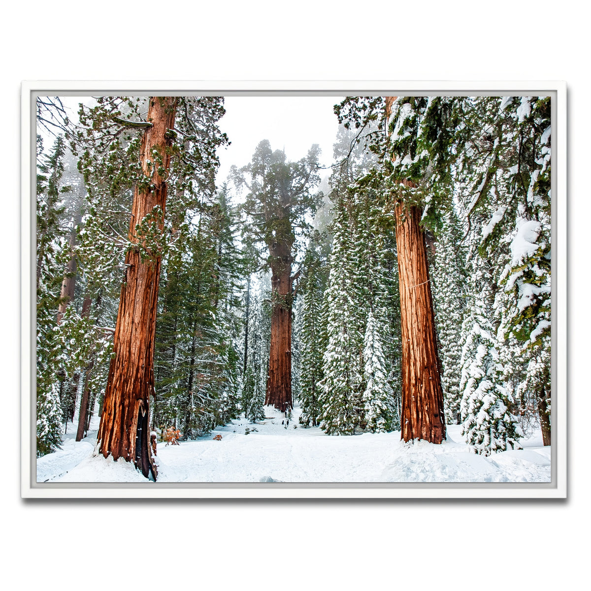 AUTO-MOCKUP WHITE | The General | 1 Piece | White Framed Canvas | group=4x3