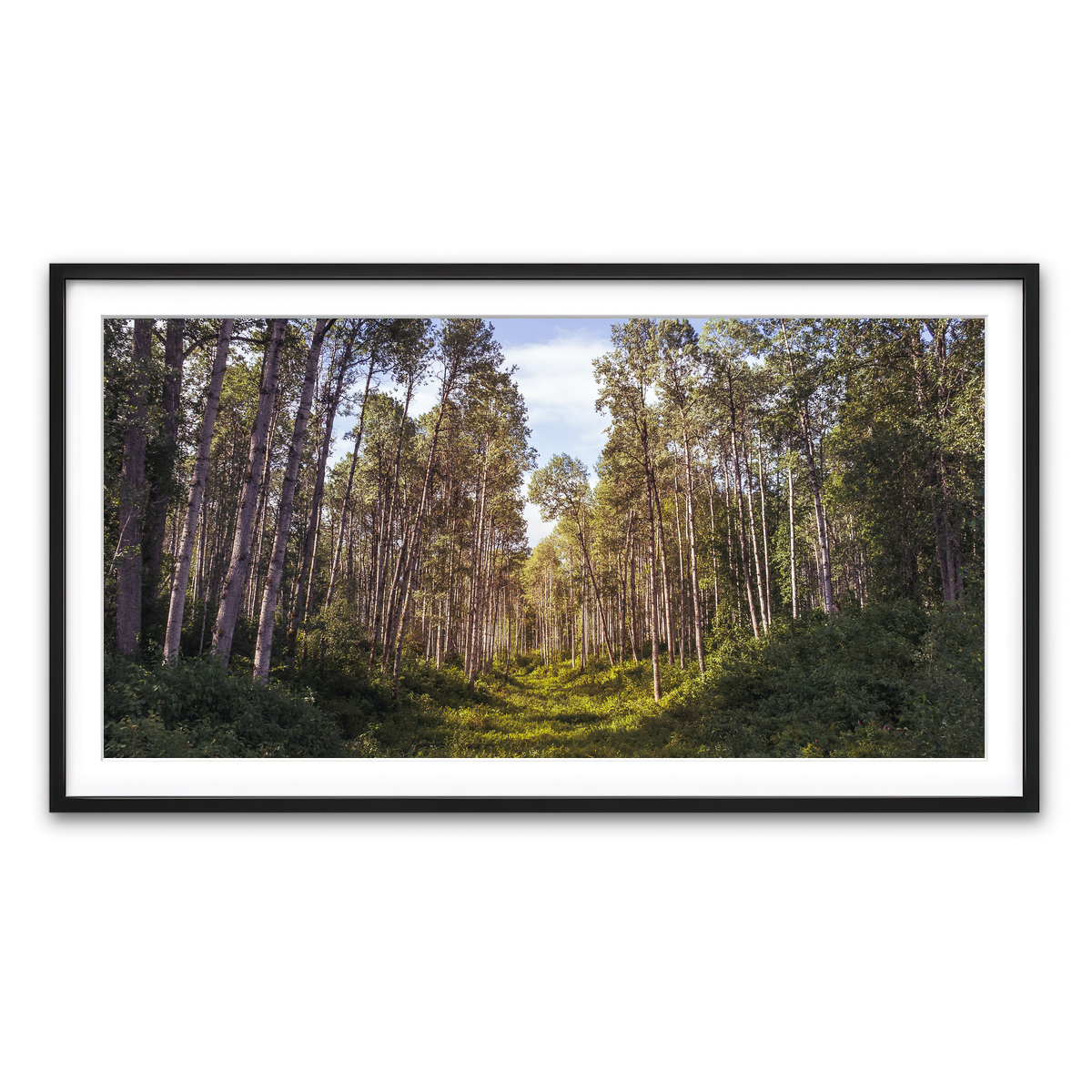 Framed Print 2x1 Black