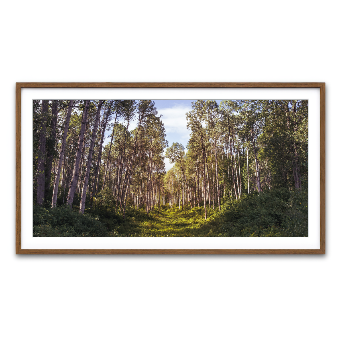 Framed Print 2x1 Walnut