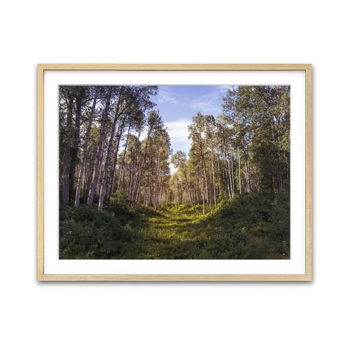 Framed Print 4x3 Natural