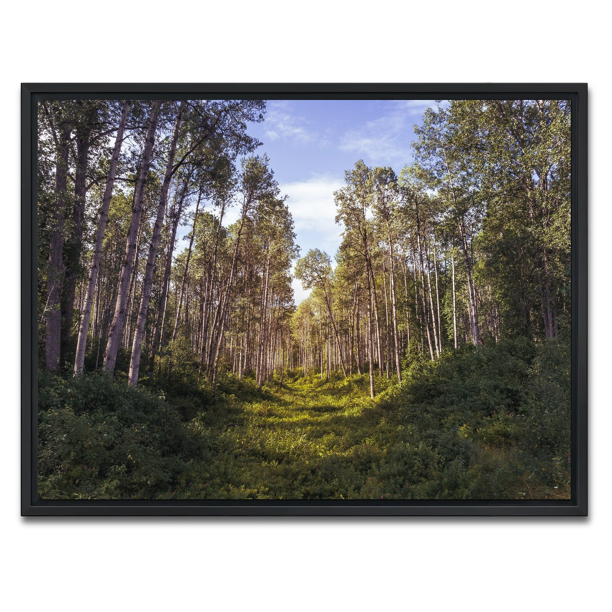 AUTO-MOCKUP WHITE | The Grove | 1 Piece | Black Framed Canvas | group=4x3