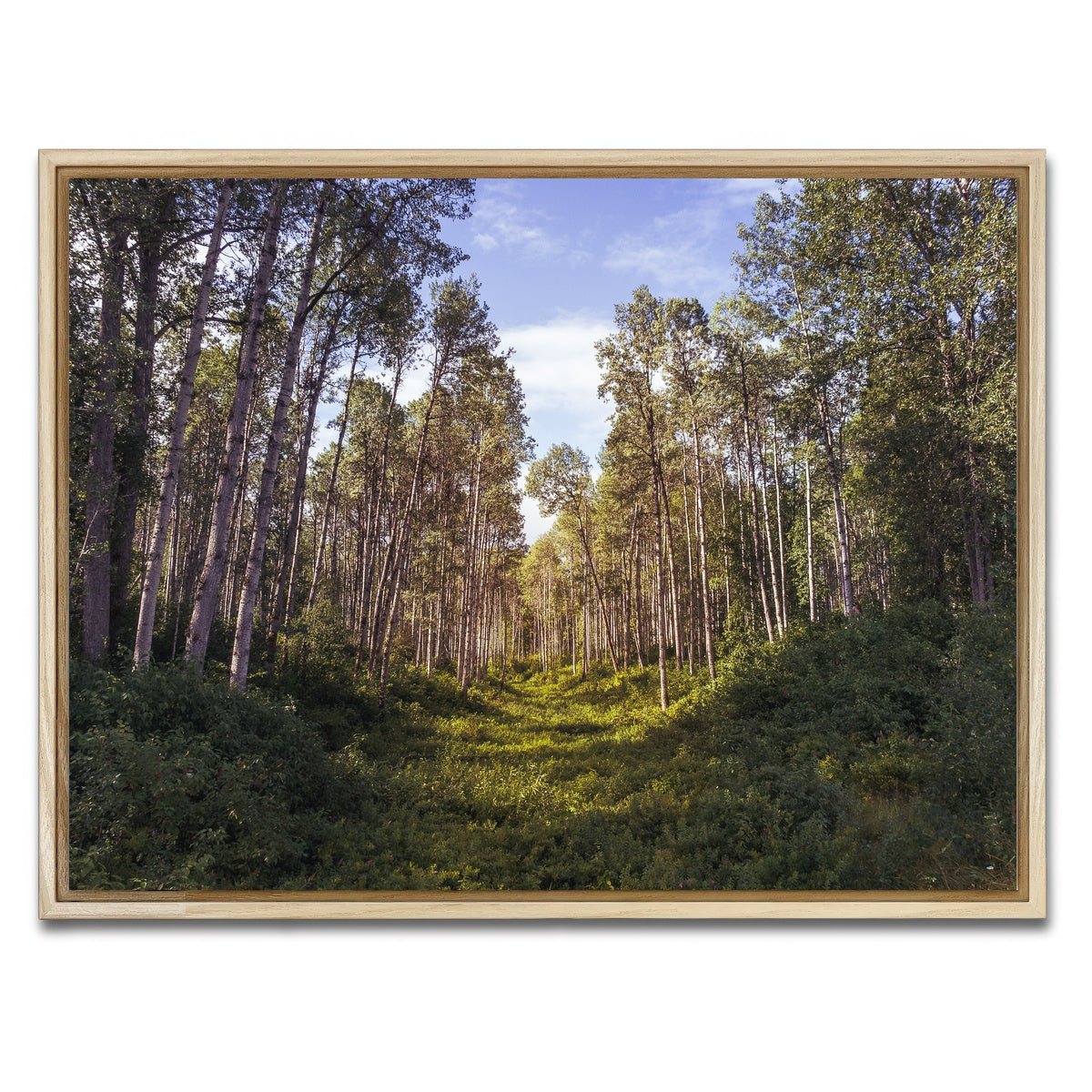 AUTO-MOCKUP WHITE | The Grove | 1 Piece | Natural Framed Canvas | group=4x3