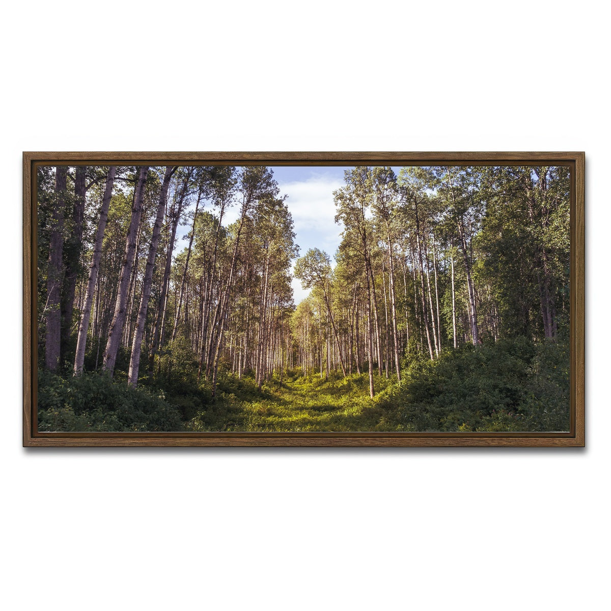 AUTO-MOCKUP WHITE | The Grove | 1 Piece | Walnut Framed Canvas | group=2x1