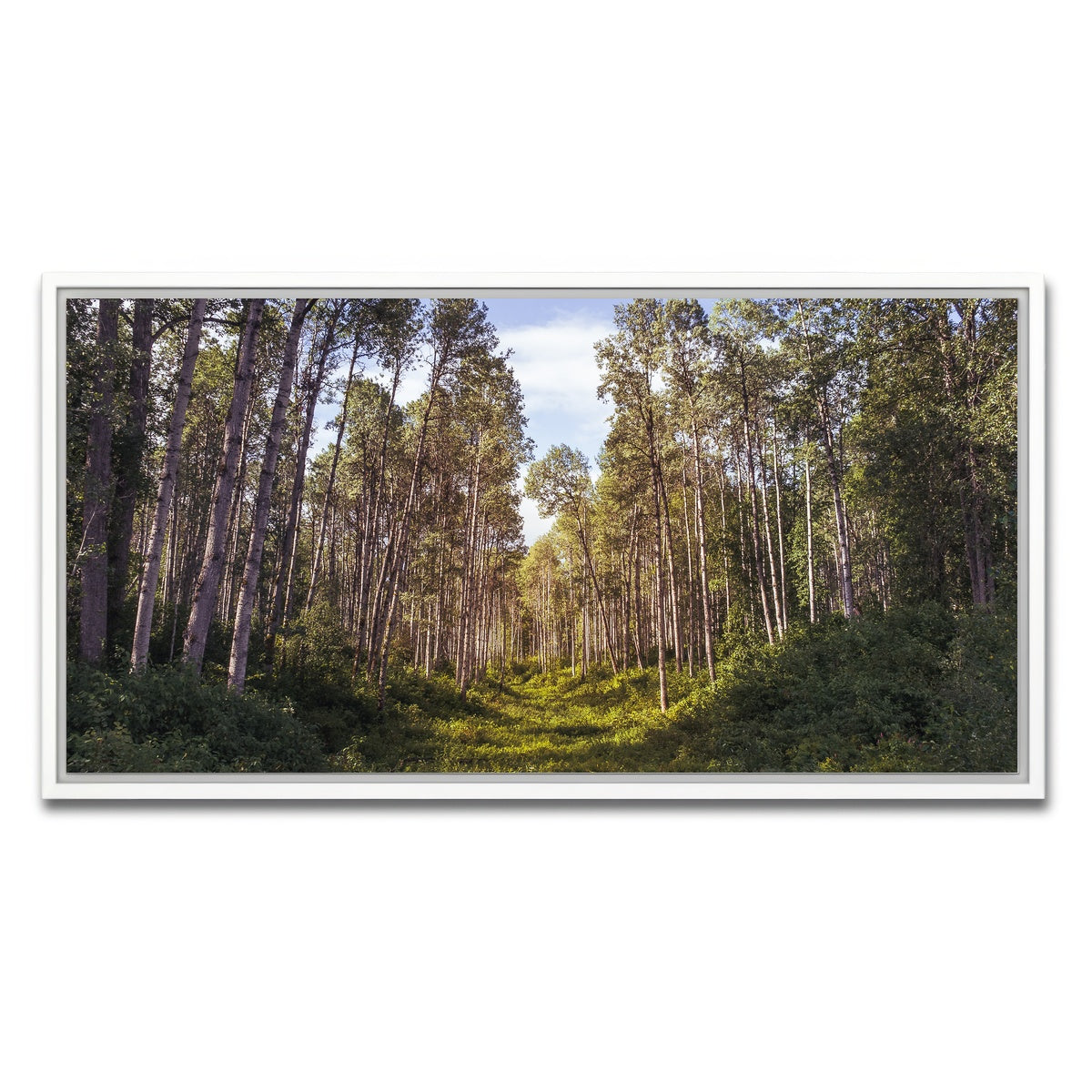 AUTO-MOCKUP WHITE | The Grove | 1 Piece | White Framed Canvas | group=2x1