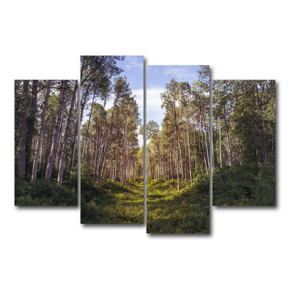 AUTO-MOCKUP WHITE | The Grove | 4 Piece | Gallery Wrap Canvas | group=4_short
